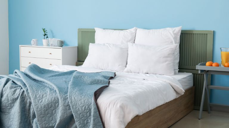 Colors for the Bedroom Blue